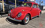 1964 Beetle Thumbnail 3