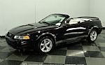 2000 Mustang GT Convertible Thumbnail 6