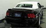 2000 Mustang GT Convertible Thumbnail 10