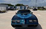 1979 Firebird Trans Am Thumbnail 2