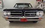 1964 GTO Thumbnail 6