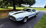 1970 Shelby GT500 Thumbnail 1
