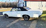 1964 GTO Thumbnail 5