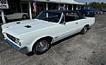 1964 GTO Thumbnail 8