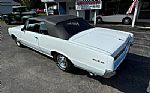 1964 GTO Thumbnail 16
