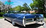 1965 Deville Thumbnail 5