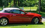 2008 Mustang GT/CS Convertible Thumbnail 9