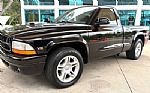 1999 Dakota Thumbnail 12