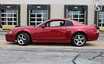 2003 Mustang SVT Cobra Thumbnail 5