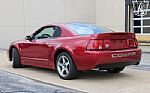 2003 Mustang SVT Cobra Thumbnail 8