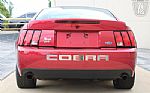2003 Mustang SVT Cobra Thumbnail 11