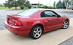 2003 Mustang SVT Cobra Thumbnail 13