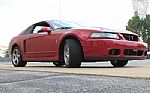 2003 Mustang SVT Cobra Thumbnail 21