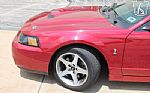 2003 Mustang SVT Cobra Thumbnail 43