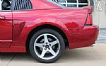 2003 Mustang SVT Cobra Thumbnail 50