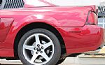 2003 Mustang SVT Cobra Thumbnail 51