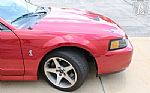 2003 Mustang SVT Cobra Thumbnail 52
