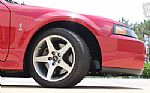 2003 Mustang SVT Cobra Thumbnail 54