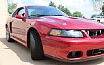 2003 Mustang SVT Cobra Thumbnail 74