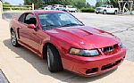 2003 Mustang SVT Cobra Thumbnail 75