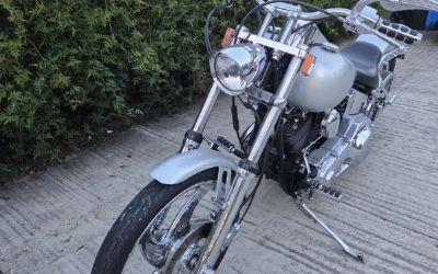 Photo of a 1993 Harley Davidson for sale