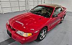 1994 Mustang Cobra Thumbnail 2
