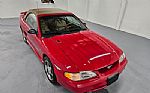 1994 Mustang Cobra Thumbnail 14