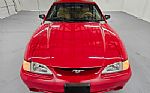 1994 Mustang Cobra Thumbnail 16