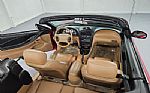 1994 Mustang Cobra Thumbnail 43