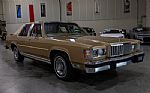 1983 Grand Marquis LS Thumbnail 8