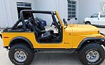 1979 CJ-7 Thumbnail 31