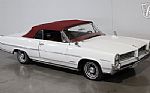 1964 Catalina Thumbnail 6