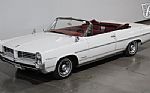 1964 Catalina Thumbnail 11