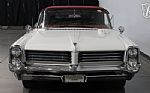 1964 Catalina Thumbnail 22