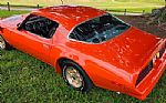 1976 Trans Am Thumbnail 6
