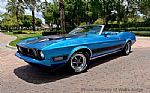 1973 Mustang Thumbnail 1