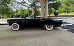 1955 Thunderbird Thumbnail 10