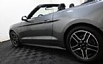 2022 Mustang Thumbnail 8