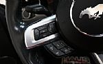 2022 Mustang Thumbnail 19