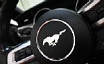 2022 Mustang Thumbnail 22