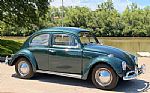 1963 Beetle Thumbnail 1