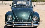 1963 Beetle Thumbnail 4