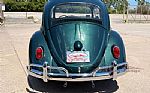 1963 Beetle Thumbnail 8
