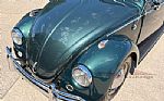 1963 Beetle Thumbnail 56