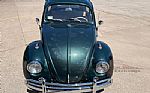 1963 Beetle Thumbnail 57