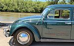 1963 Beetle Thumbnail 61