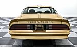 1978 Trans Am Thumbnail 8