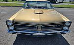 1965 GTO Thumbnail 9
