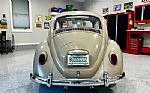 1967 Beetle Thumbnail 6
