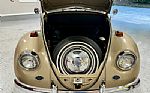1967 Beetle Thumbnail 30